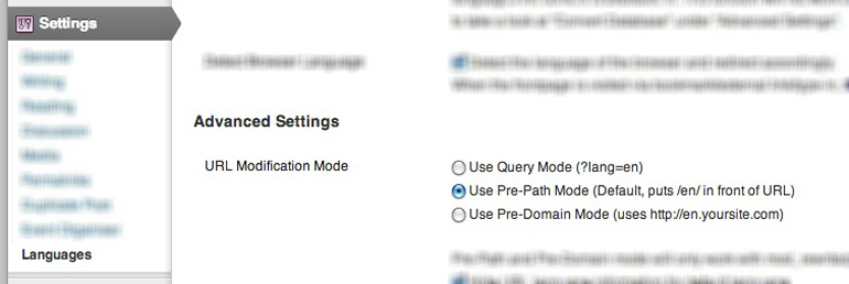 Multidomain qTranslate Settings